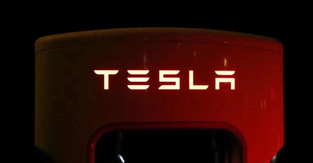 Elon Musk Lithium Battery